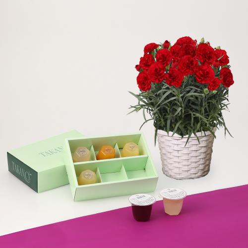 【母の日】カーネーション花鉢　赤＆新宿高野果実ゼリー