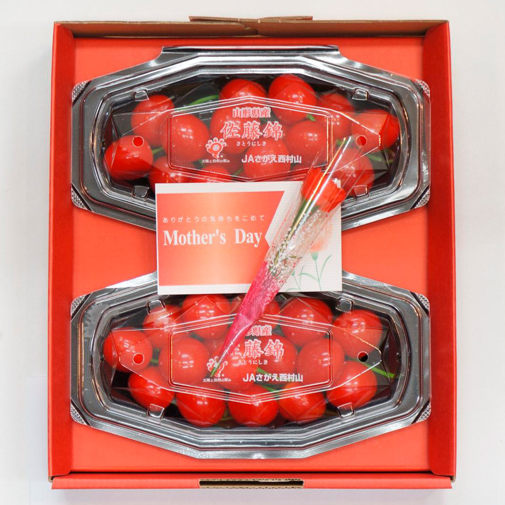 【母の日】山形県産　さくらんぼ（佐藤錦）造花付き