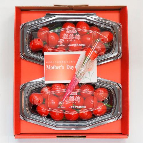 【母の日】山形県産　さくらんぼ（佐藤錦）造花付き