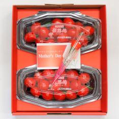 【母の日】山形県産　さくらんぼ（佐藤錦）造花付き