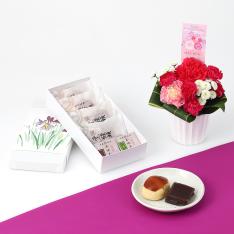 【母の日】アレンジ＆岡埜栄泉和菓子詰合せ