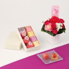 【母の日】アレンジ＆宗家源吉兆庵　花桜桃、果実ようかん詰合せ