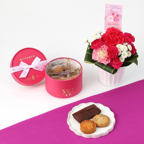 【母の日】アレンジ＆ヴィタメールアプレ・デリス5個