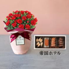 【母の日】カーネーション　赤＆＜帝国ホテル＞クッキー詰合せセット