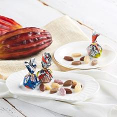 カカオパーニュ28個入