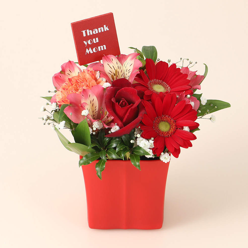 【母の日】生花 サンキューマム　レッド