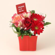 【母の日】生花 サンキューマム　レッド