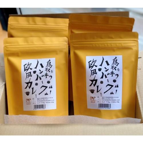<銀の米>とっとり牛ハンバーグ欧風カレー