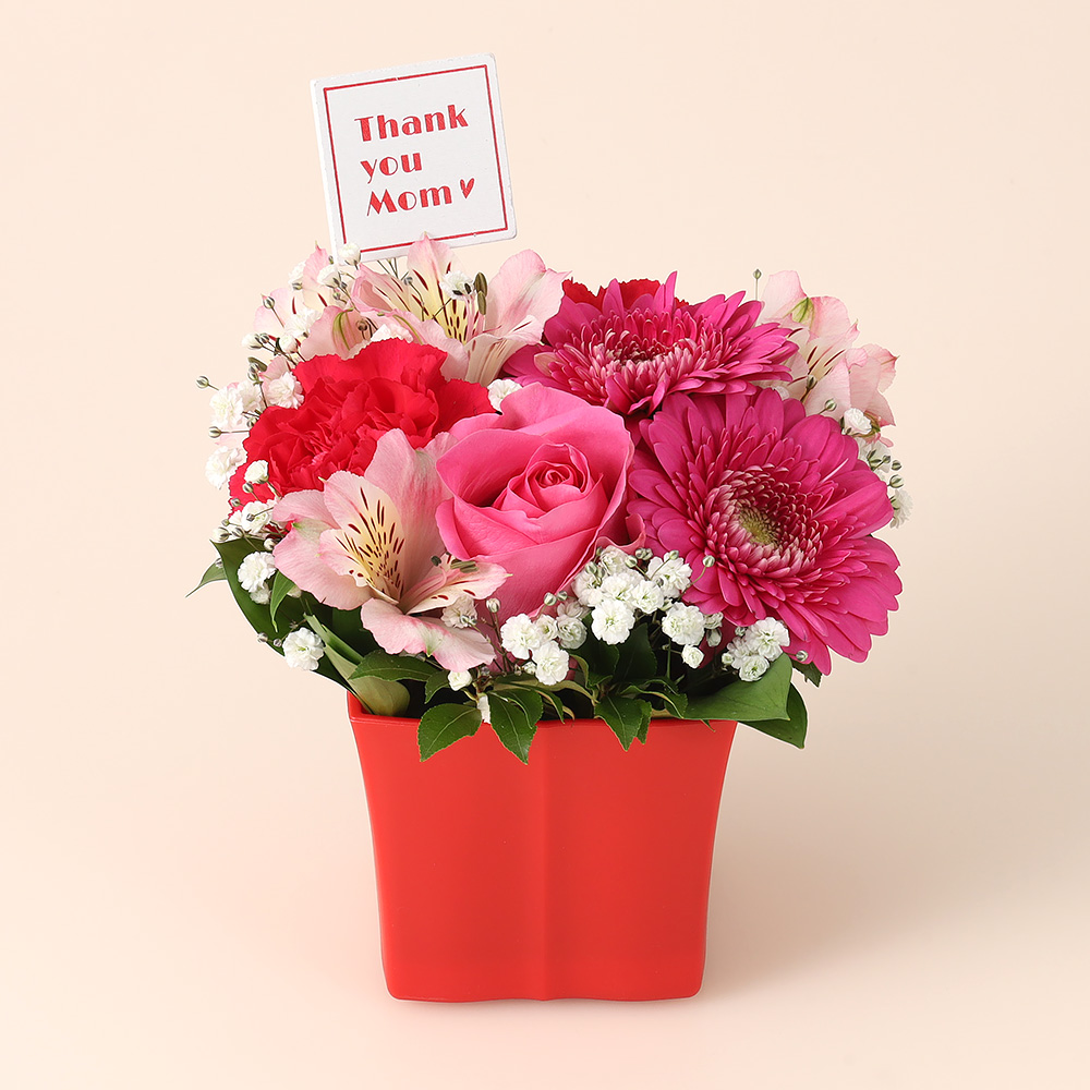 【母の日】生花 サンキューマム　ピンク