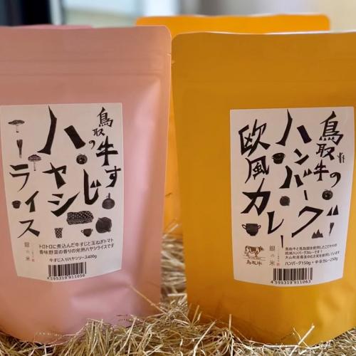 <銀の米>ハンバーグ欧風カレーと牛すじハヤシライス
