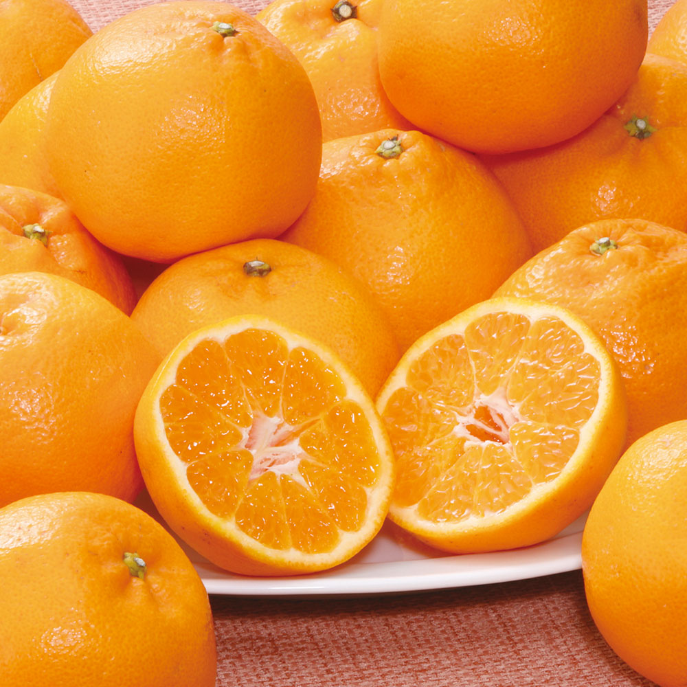 広島県産 はるみ