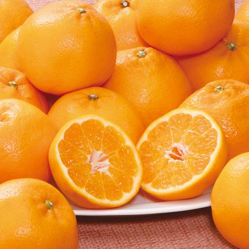 広島県産 はるみ