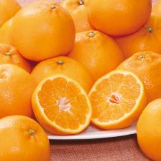 広島県産 はるみ