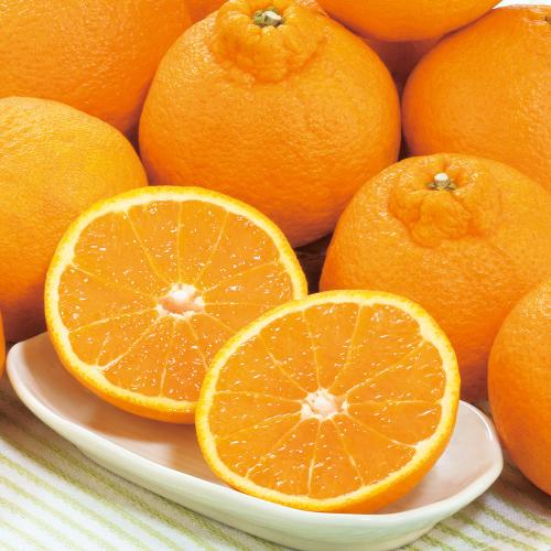 和歌山県産 木熟デコポン