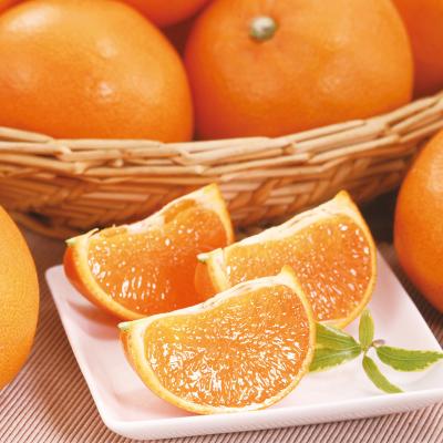 フルーツ | フルーツ・野菜 | フード・スイーツ | 高島屋オンラインストア