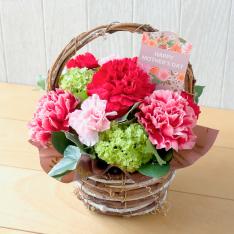 【母の日】生花アレンジメント『アンナ』