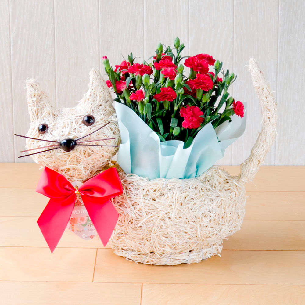 【母の日】花鉢『パティ』