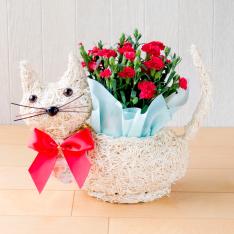 【母の日】花鉢『パティ』