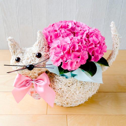 【母の日】花鉢『クイン』