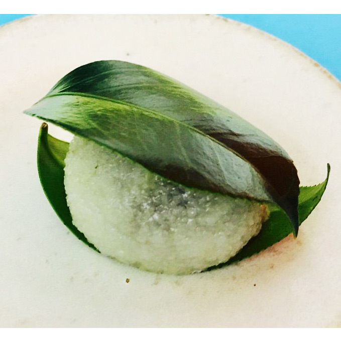 【店頭受取／新宿店】＜老松＞椿餅とうぐいす餅のセット【2月28日（土）午後4時30分以降】