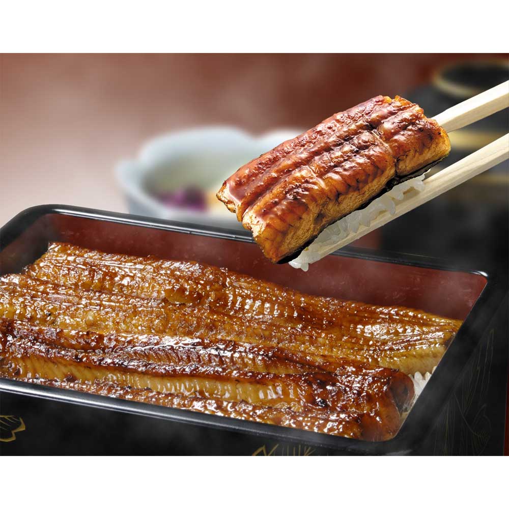 うなぎ蒲焼真空パック2枚セット