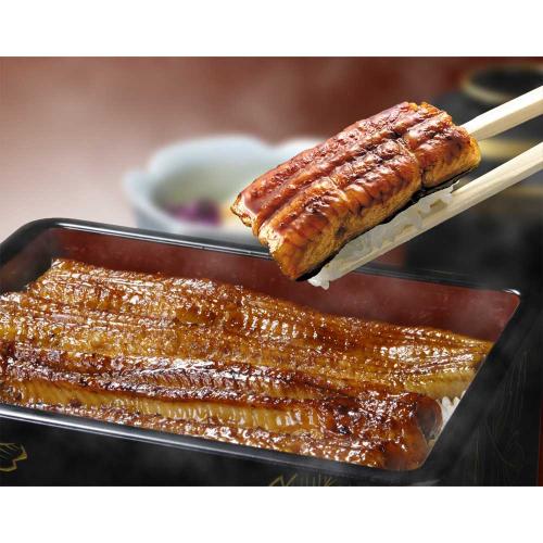 うなぎ蒲焼真空パック2枚セット