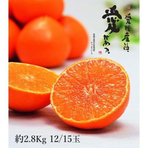 愛媛県産　紅まどんな【最適な時期に収穫し、順次発送予定】