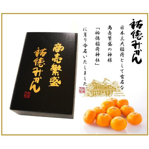 ＜JAさが＞商売繁盛 糖度13度祐徳みかん【最適な時期に収穫し、順次発送予定】