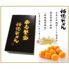 ＜JAさが＞商売繁盛 糖度13度祐徳みかん【最適な時期に収穫し、順次発送予定】