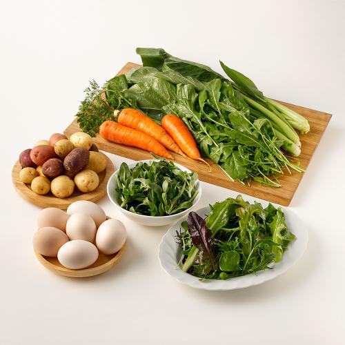 野菜・果物