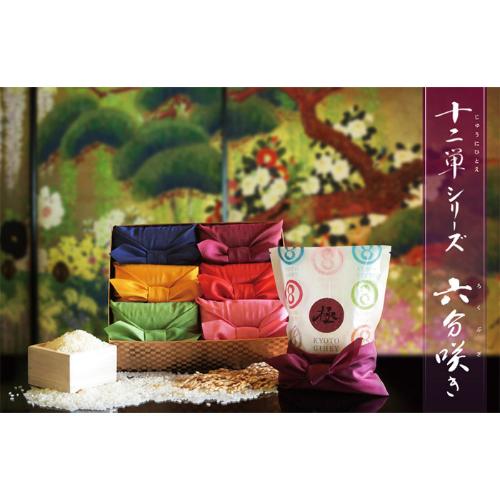 十二単「六分咲き」