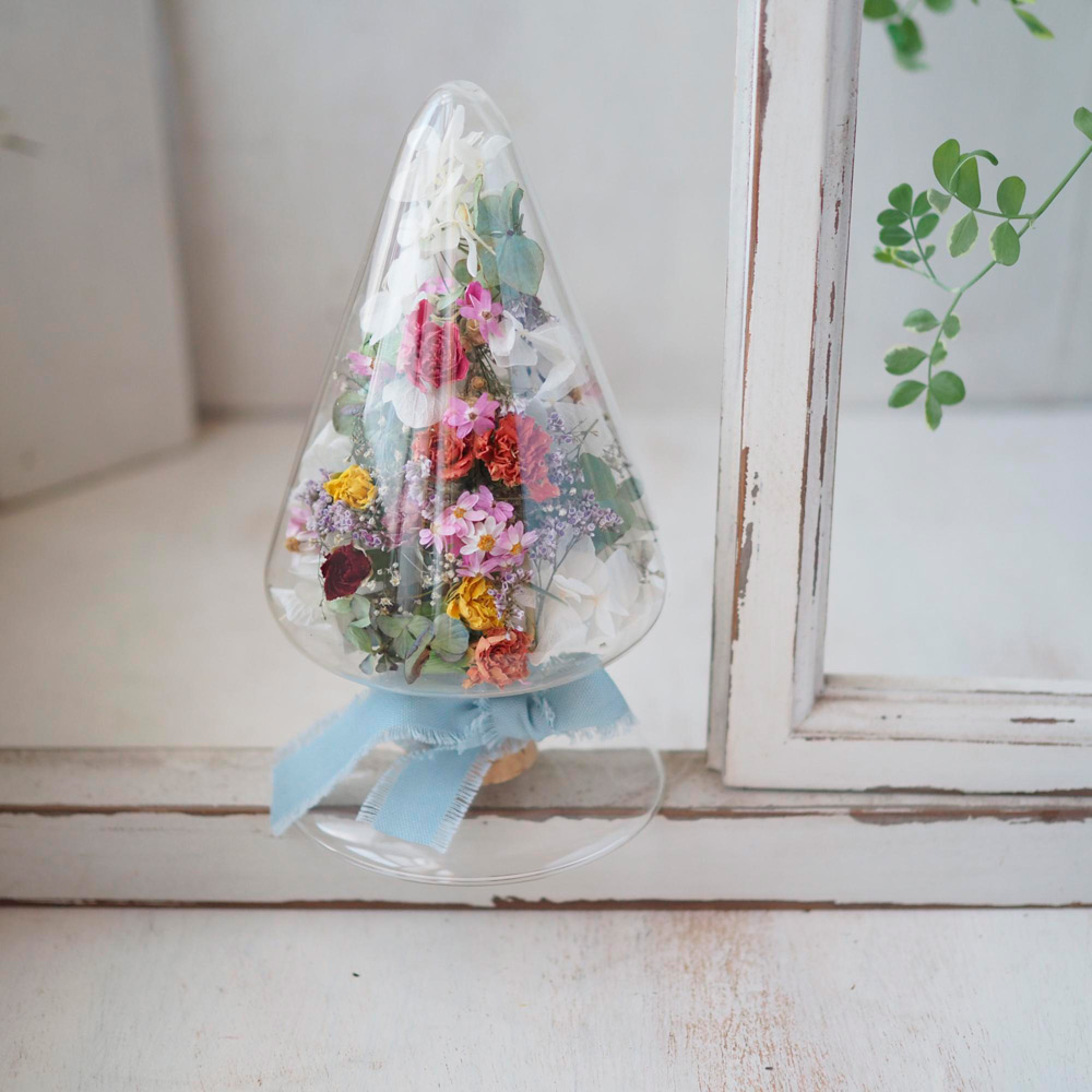 【母の日】シリウス（カーネーション）