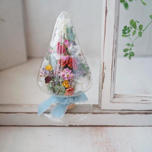 【母の日】シリウス（カーネーション）