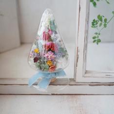 【母の日】シリウス（カーネーション）