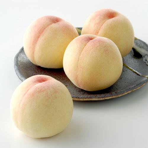 岡山白桃（5～6玉 約1.6kg）