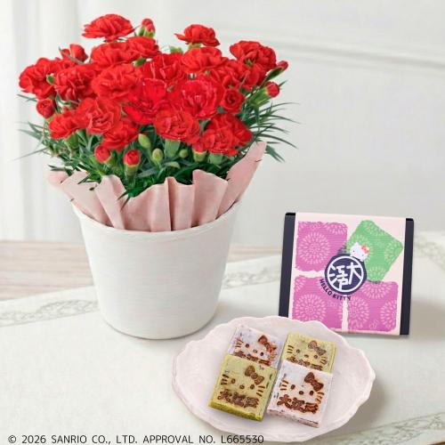 【母の日】生花カーネーションとハローキティ きんつば