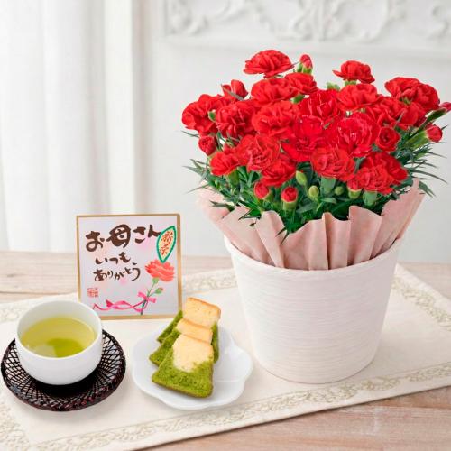 【母の日】生花カーネーションと静岡新茶・富士山パウンドケーキ