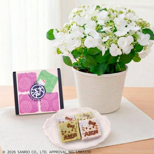 【母の日】ラグランジアとハローキティ きんつば