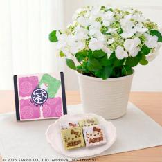 【母の日】ラグランジアとハローキティ きんつば