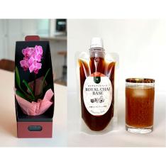 【母の日】ロイヤルチャイベース＆テーブル胡蝶蘭BOX入（3号1本立ち）