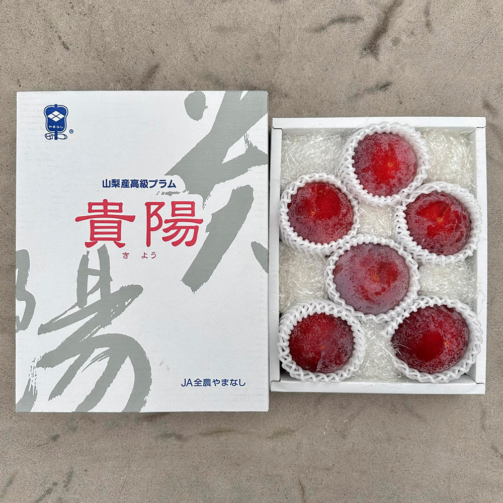 山梨県産 貴陽プラム 6～9玉入り 商品詳細 高島屋オンラインストア