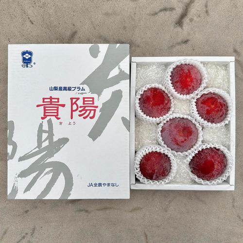 山梨県産 貴陽プラム 6～9玉入り