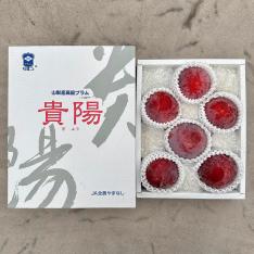 山梨県産 貴陽プラム 6～9玉入り