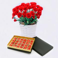 【母の日】山形県産さくらんぼ（佐藤錦）＆カーネーション（鉢植）