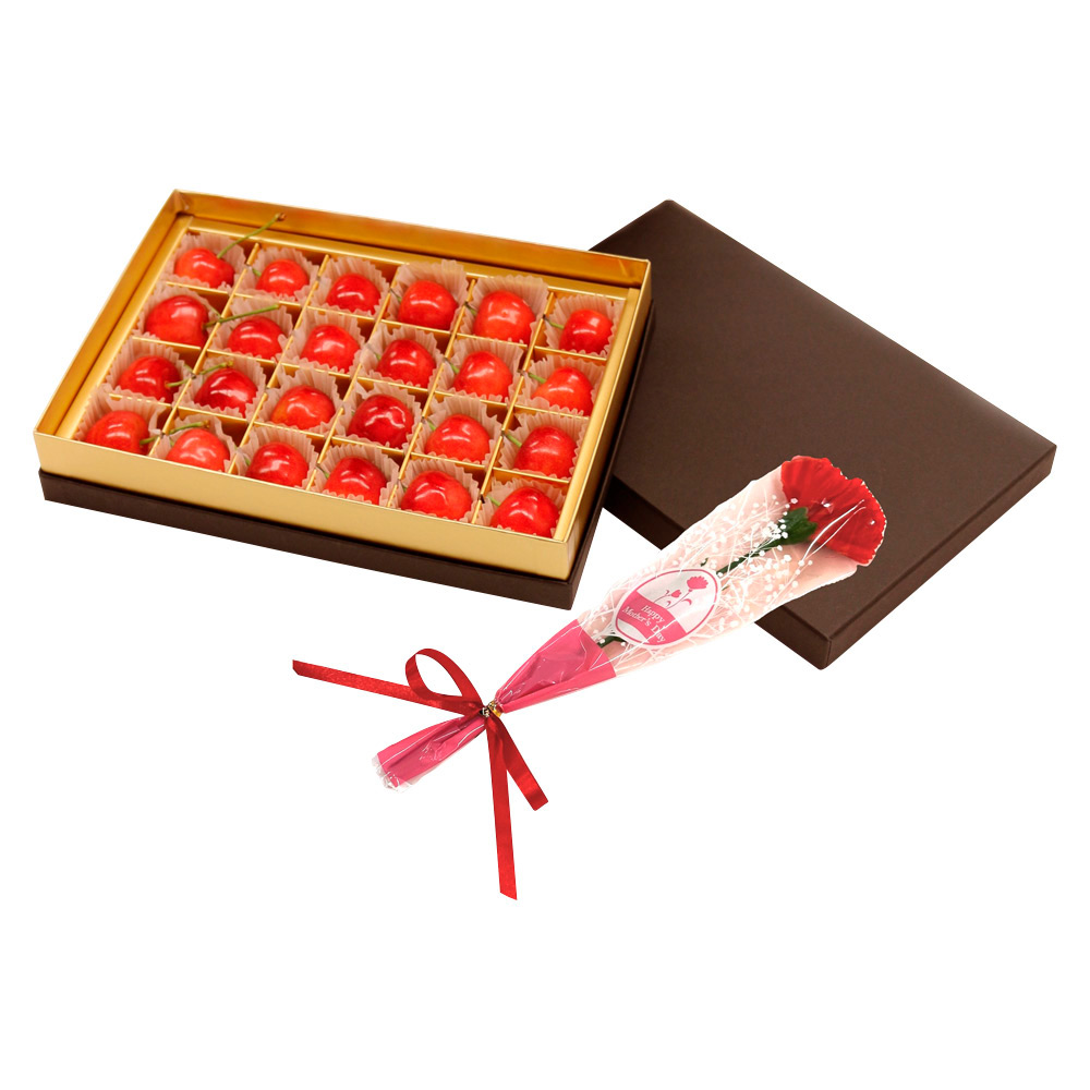 【母の日】山形県産さくらんぼ（佐藤錦）（造花付）