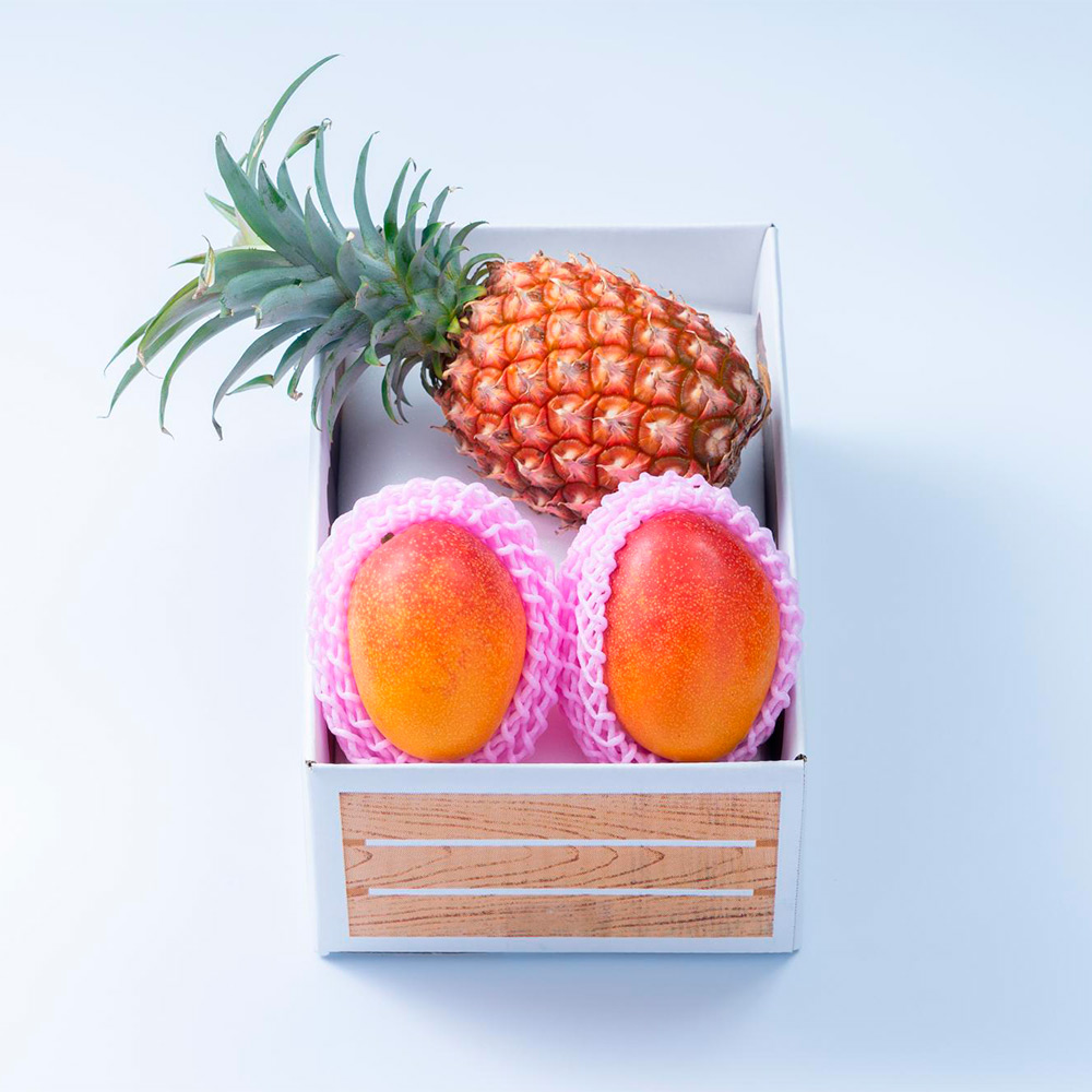 【母の日】旬のフルーツセットH14