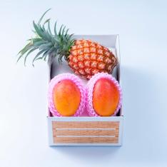 【母の日】旬のフルーツセットH14