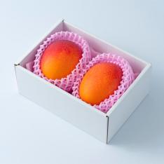 【母の日】宮崎産完熟マンゴー 2玉