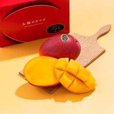 【母の日】宮崎産完熟マンゴー「太陽のタマゴ」 1玉