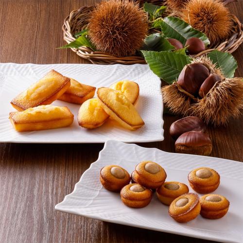 ひょうご五國豊穣　丹波栗おどるマロンケーキ詰合せ22個入